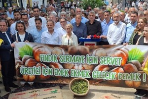 CHP, Fındık İçin Saha Çalışması Gerçekleştirdi